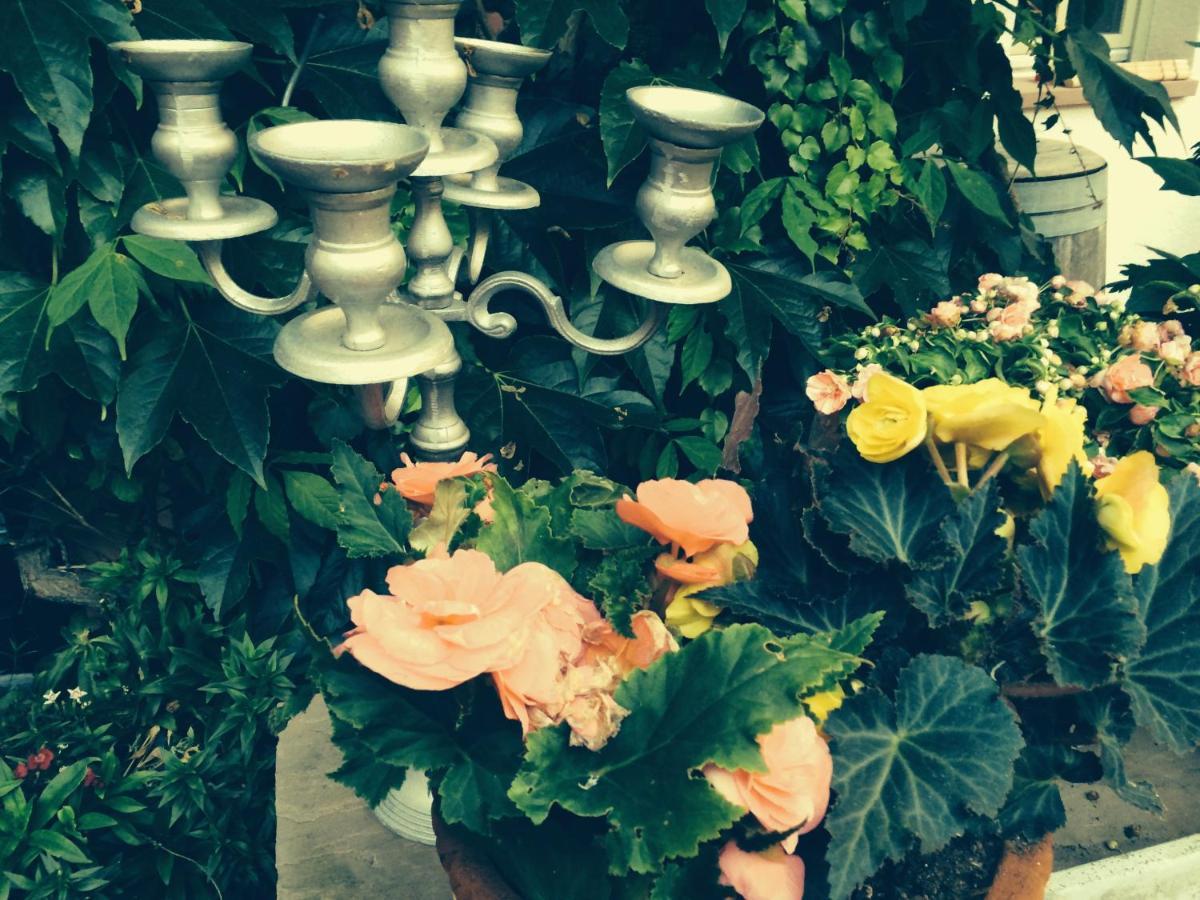 Seelig'S Weinsheim  Dış mekan fotoğraf